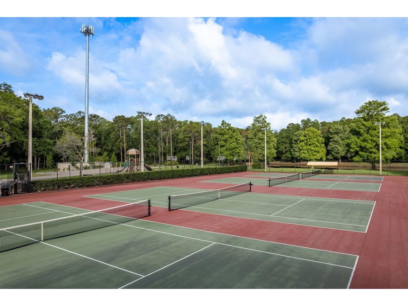 5590 Greyston Street Palm Harbor FL 34685 TB8460485 image49
