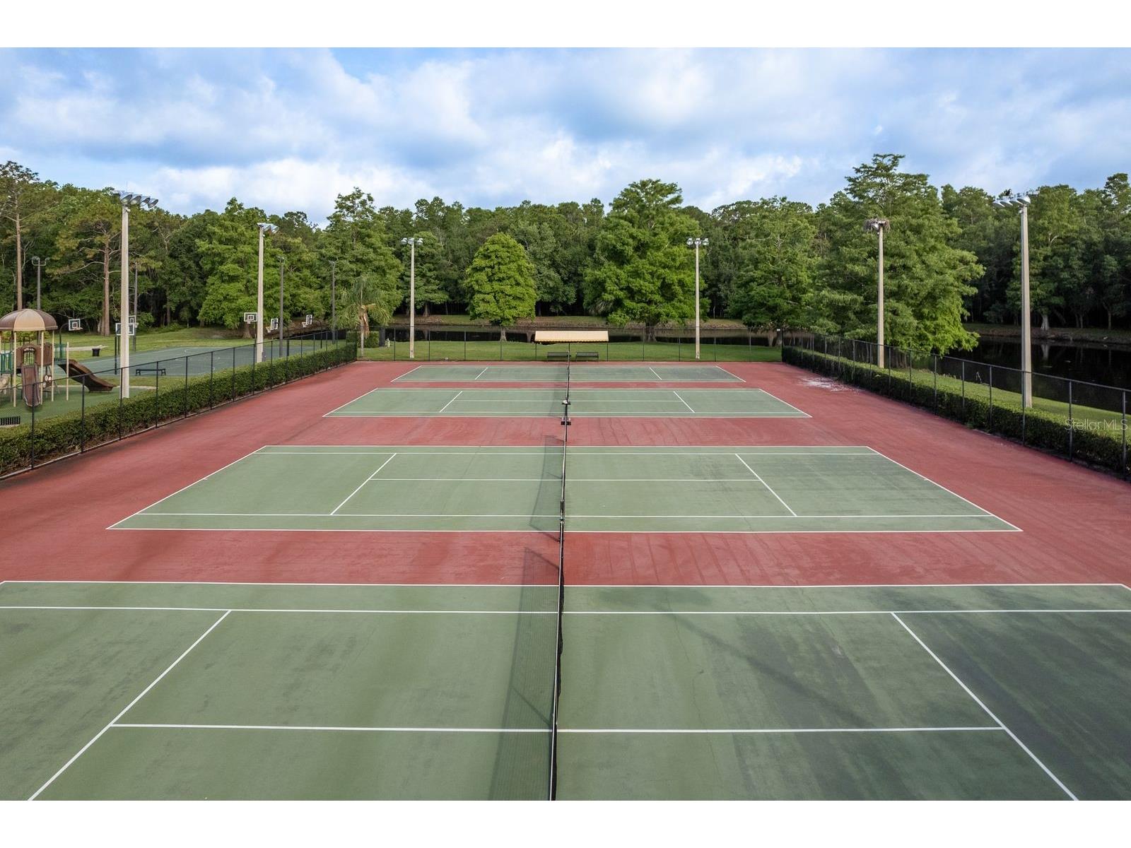 5590 Greyston Street Palm Harbor FL 34685 TB8460485 image50