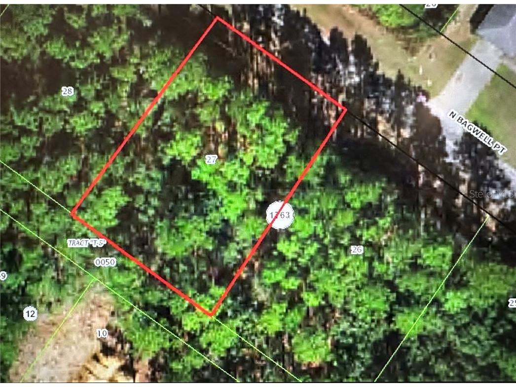 5590 N Bagwell Point Citrus Springs FL 34434 V4938025 image1