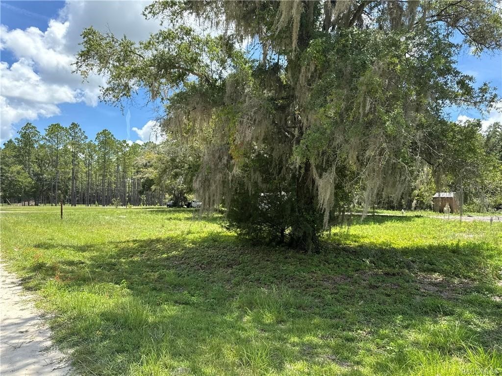 5590 NW 76th Avenue Chiefland FL 32626 OM710983 image18