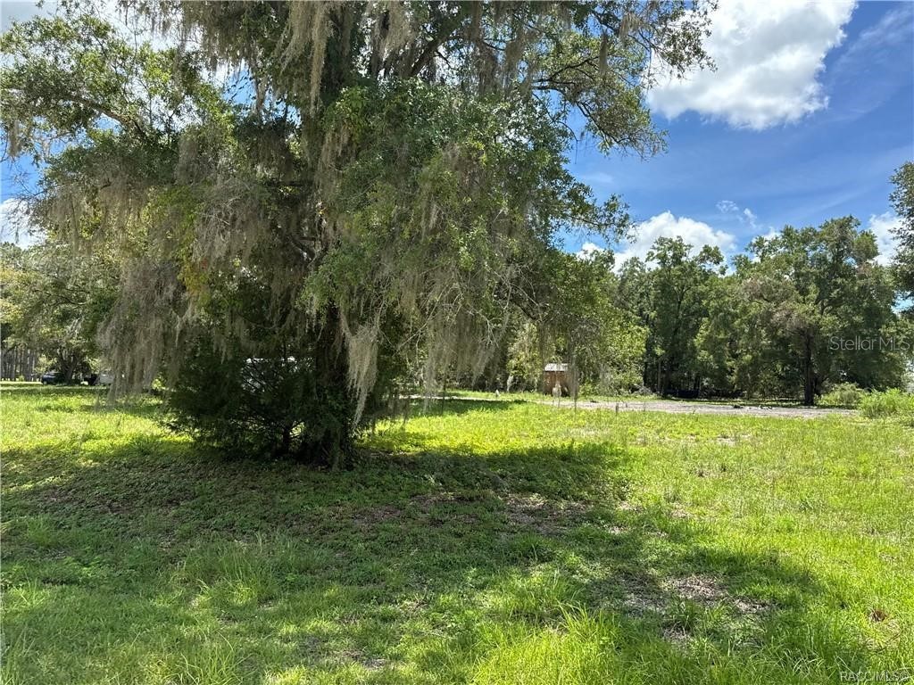 5590 NW 76th Avenue Chiefland FL 32626 OM710983 image19