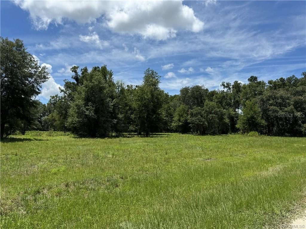 5590 NW 76th Avenue Chiefland FL 32626 OM710983 image22