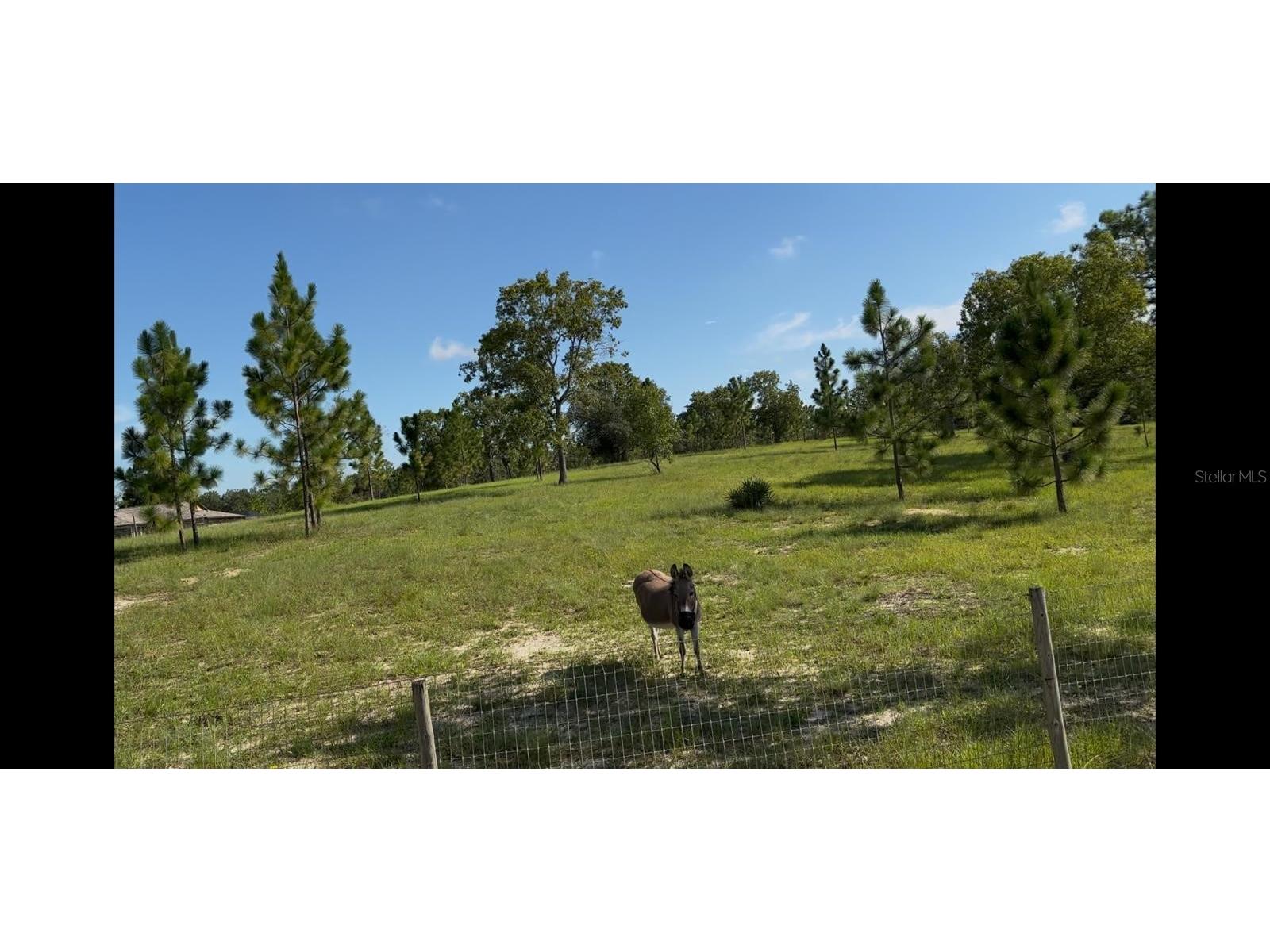 5590 W X Anne Lane Dunnellon FL 34433 TB8416752 image49