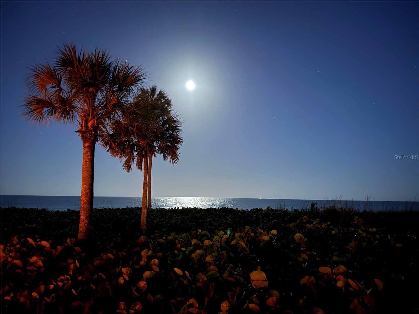 5591 Gulf Of Mexico Drive #4 Longboat Key FL 34228 A4690629 image29