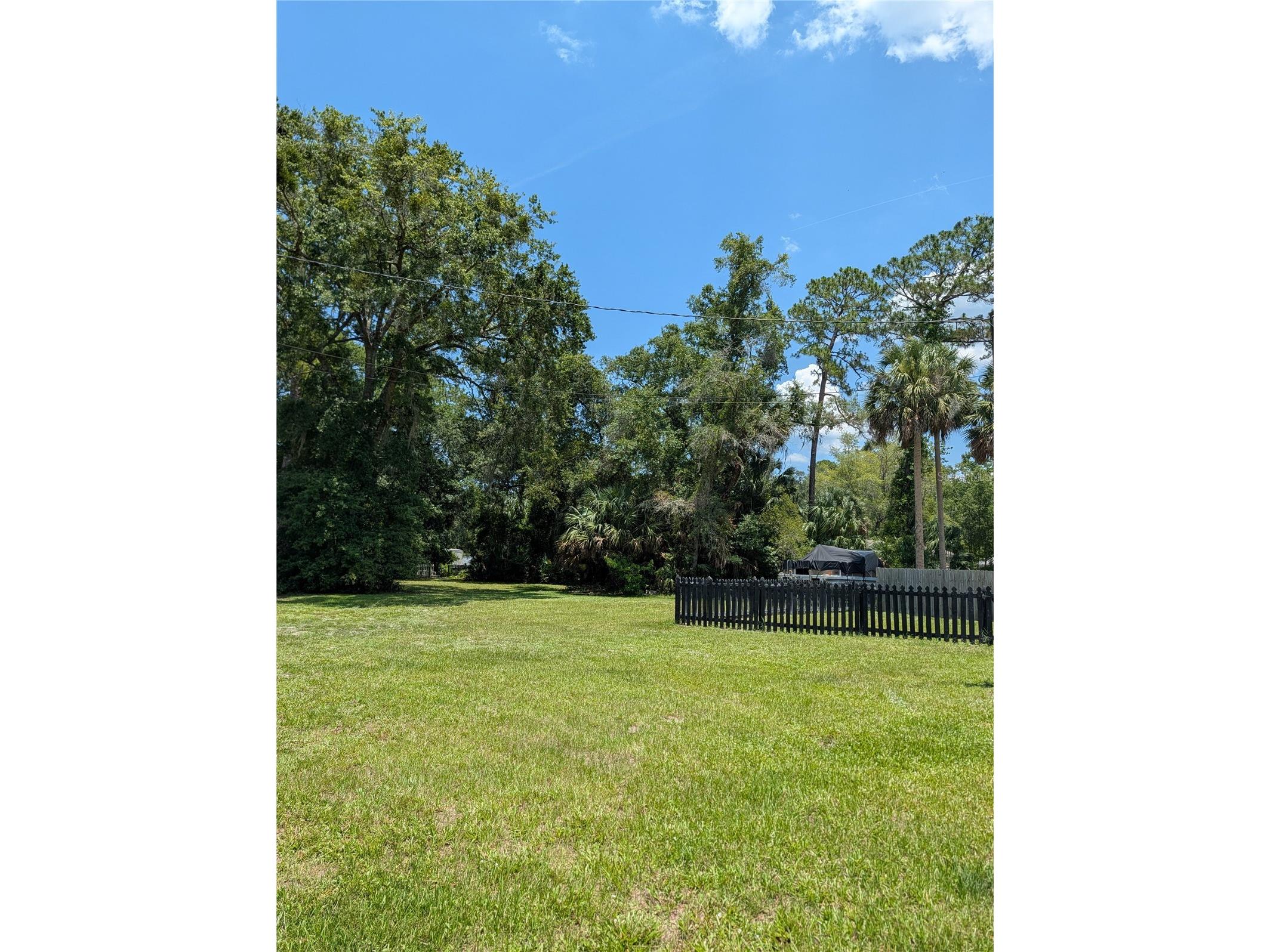 55914 Bay Road Astor FL 32102 TB8524346 image5