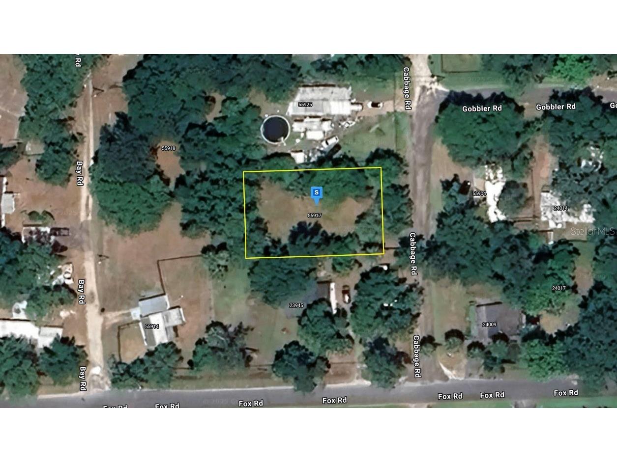 55917 Cabbage Road Astor FL 32102 A4638912 image1