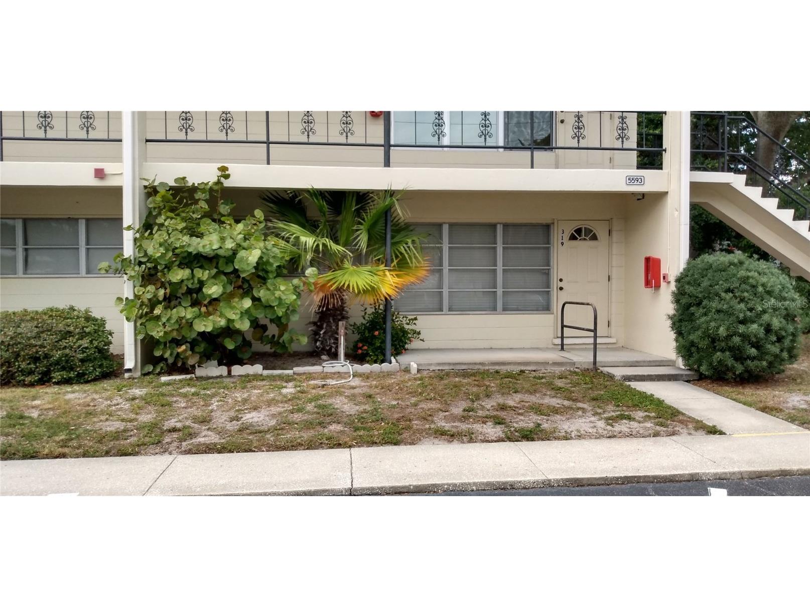 5593 40th Avenue N #319 Saint Petersburg FL 33709 TB8325658 image1