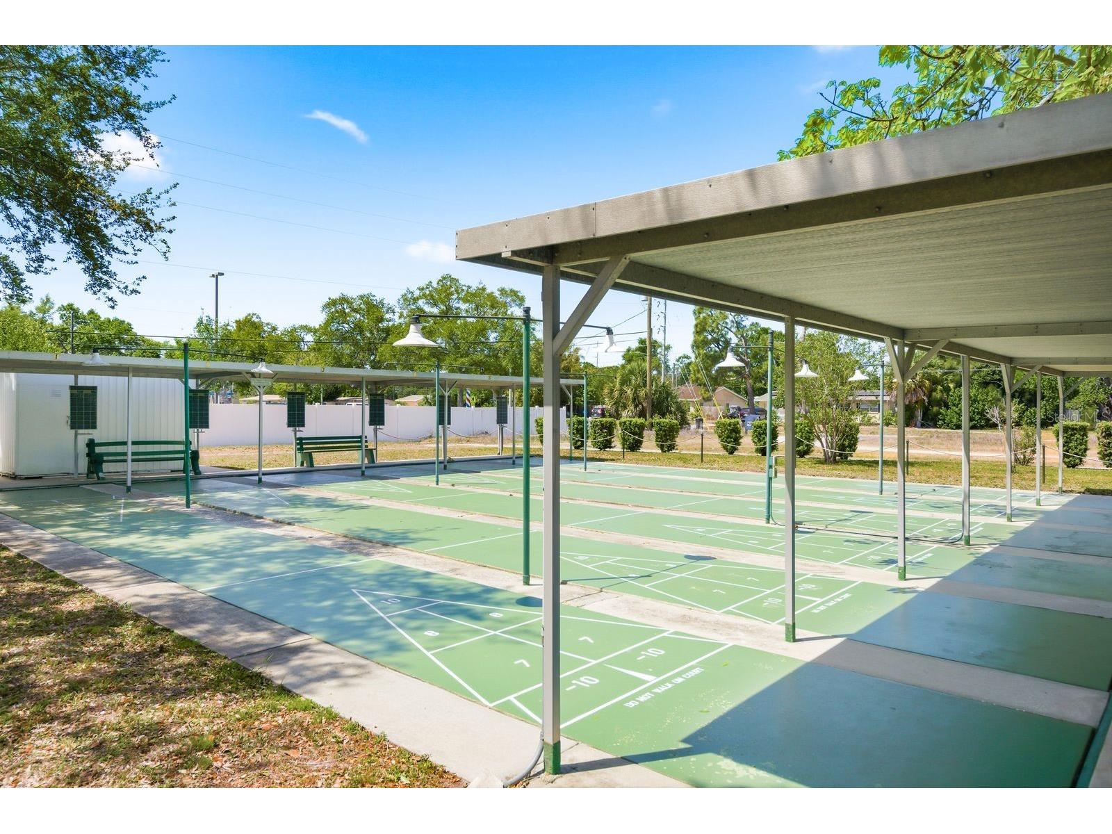 5593 40th Avenue N #418 Kenneth City FL 33709 TB8500794 image30