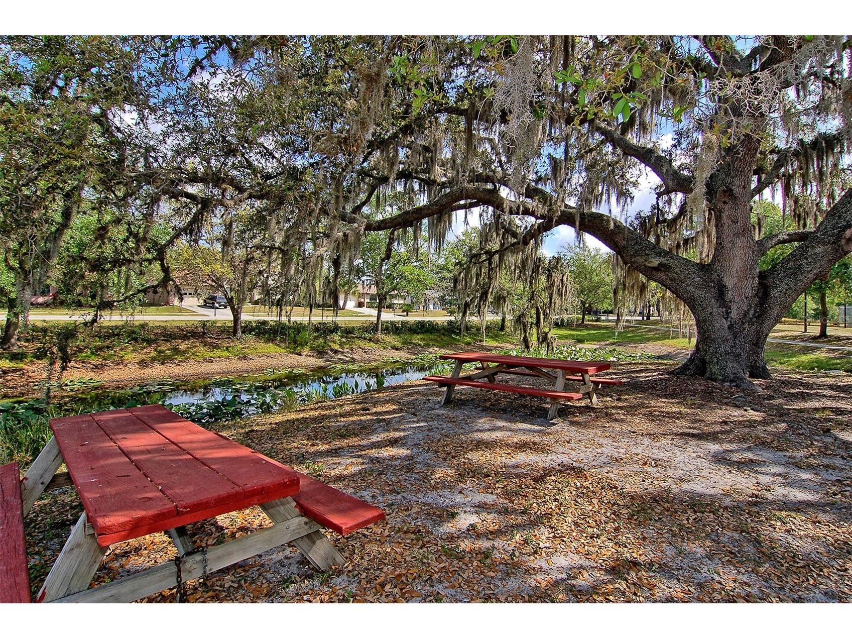 5594 Wilde Oak Way Sarasota FL 34232 A4685501 image50