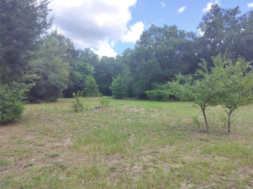 5595 E Arthur Street Inverness FL 34452 TB8330451 image1