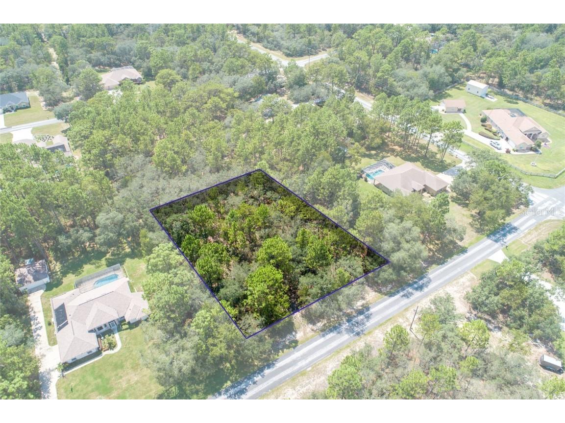 5596 N Lamp Post Drive Beverly Hills FL 34465 OM662855 image1