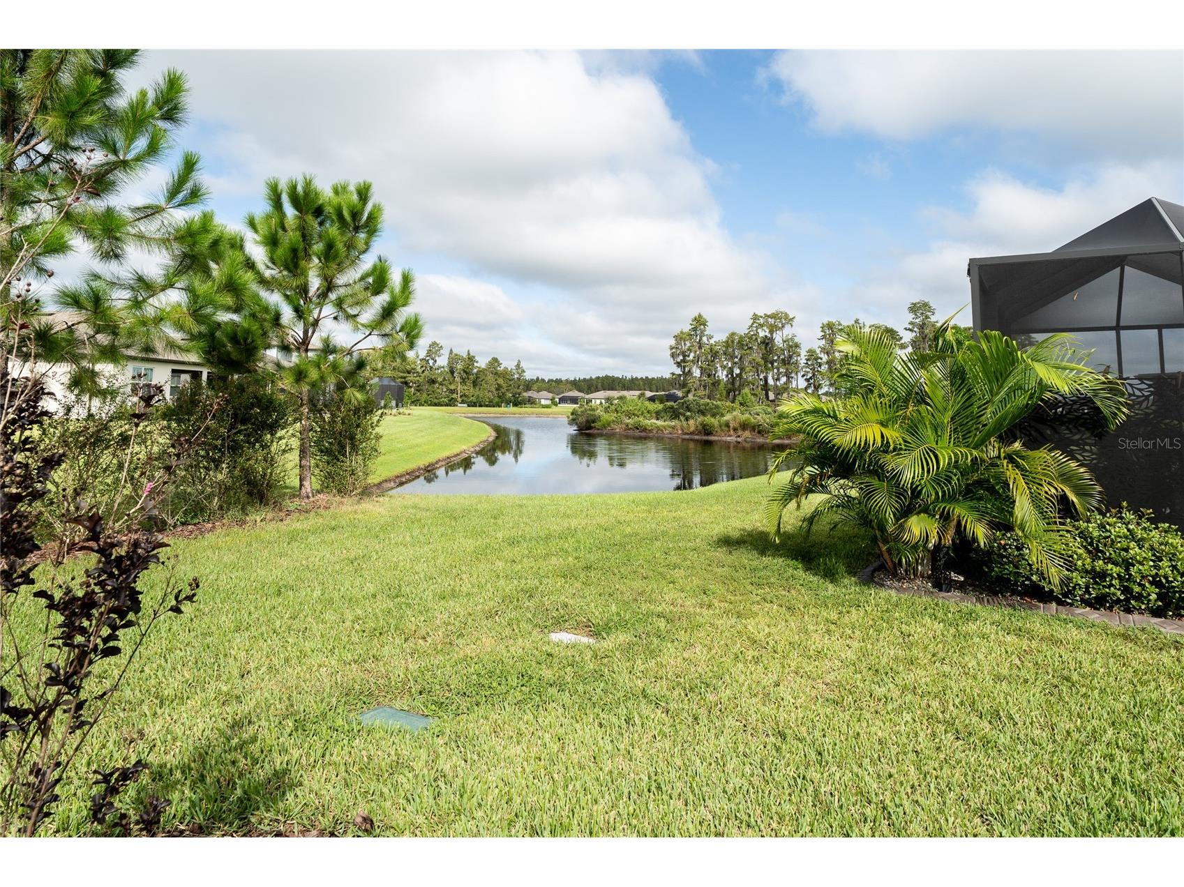 5597 Bay Tide Court Land O Lakes FL 34638 TB8469632 image2