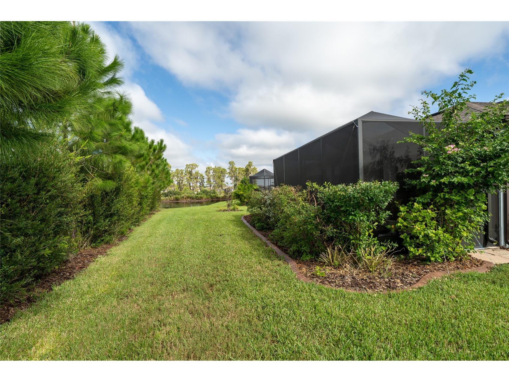 5597 Bay Tide Court Land O Lakes FL 34638 TB8469632 image43