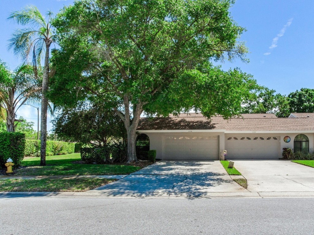 5598 Salem Square Drive S Palm Harbor FL 34685 T3536198 image1