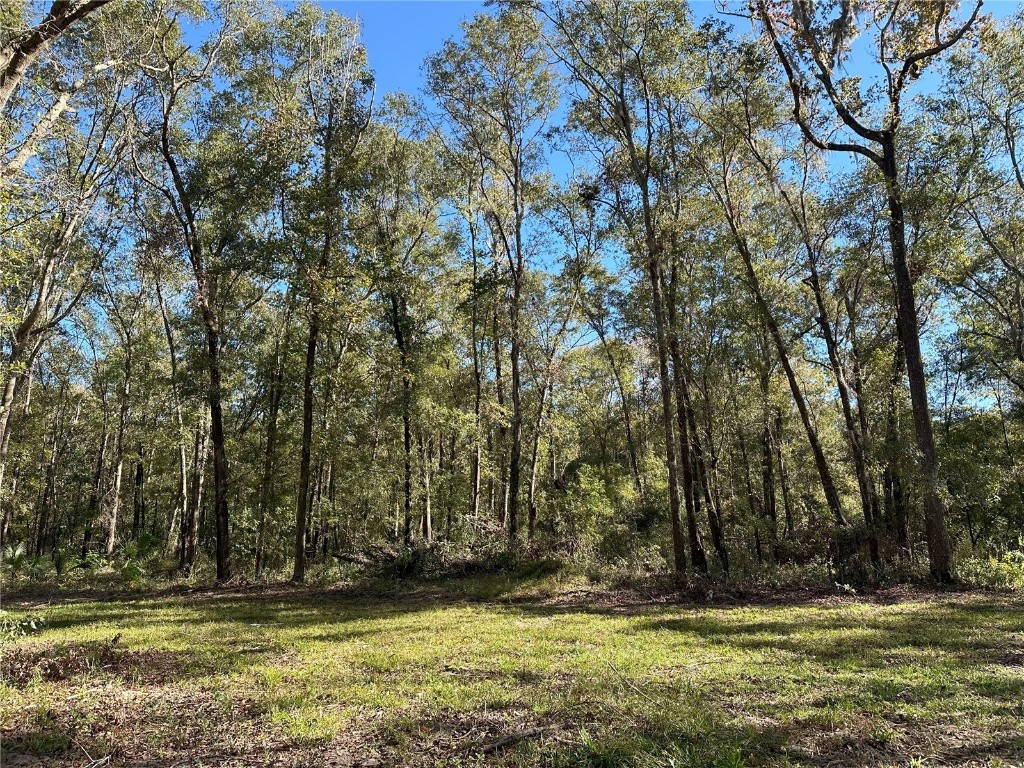 55ac W Hwy 318 Reddick FL 32686 OM690031 image3