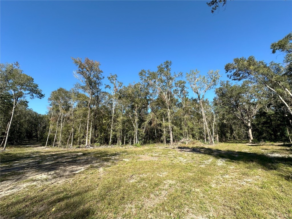 55ac W Hwy 318 Reddick FL 32686 OM690031 image5
