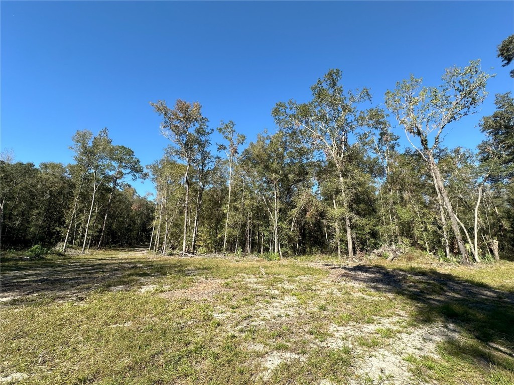 55ac W Hwy 318 Reddick FL 32686 OM690031 image6