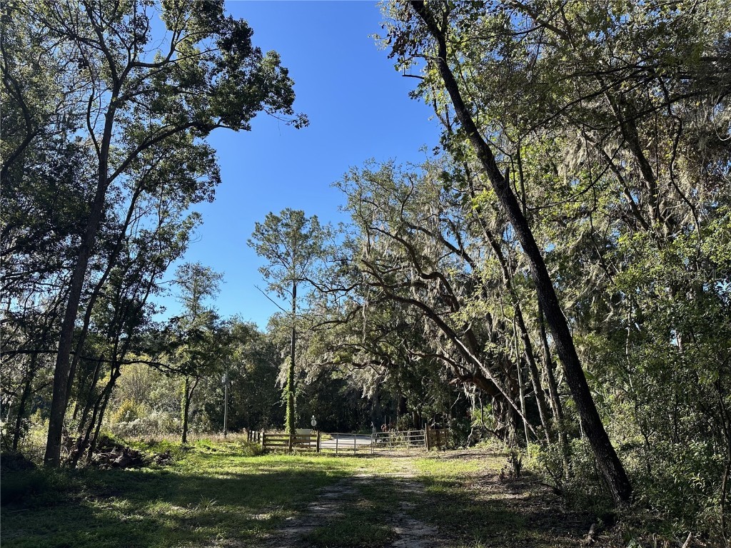 55ac W Hwy 318 Reddick FL 32686 OM690031 image9