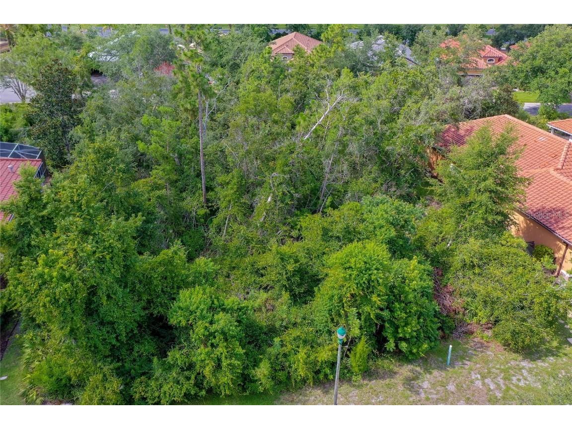 56 Apian Way Ormond Beach FL 32174 FC311078 image9