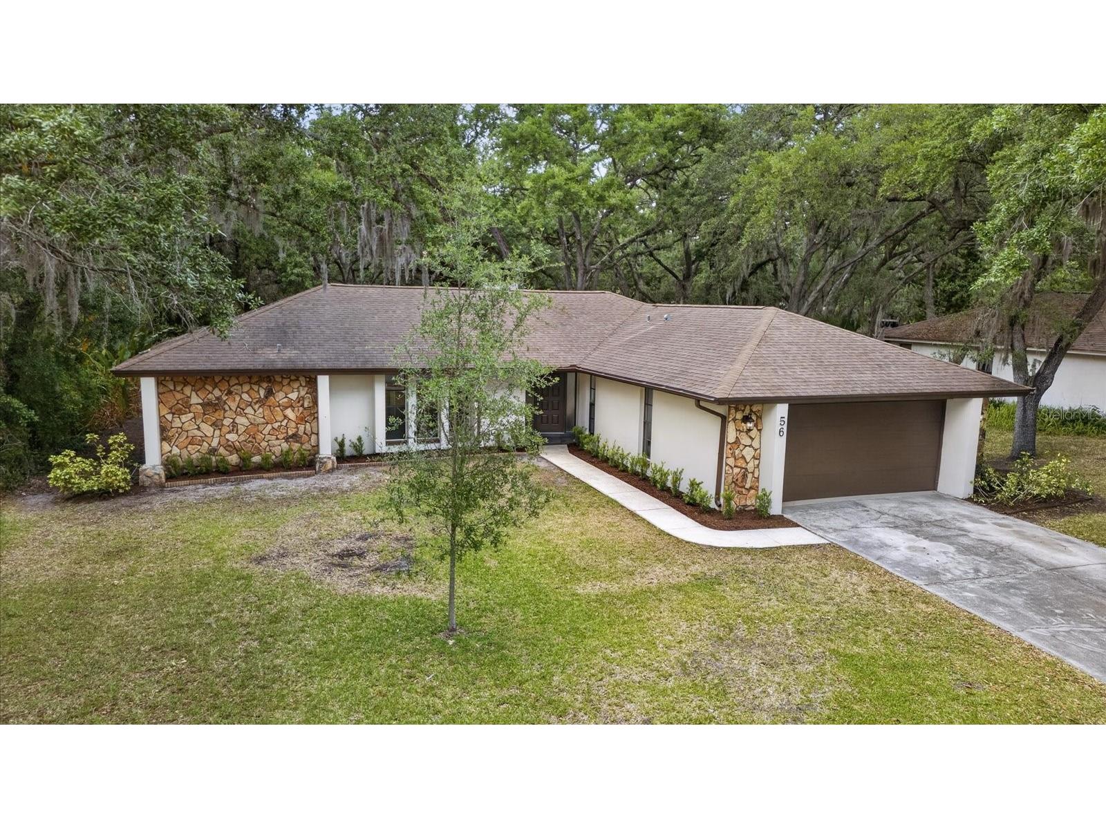56 Bay Woods Drive Safety Harbor FL 34695 O6414635 image3