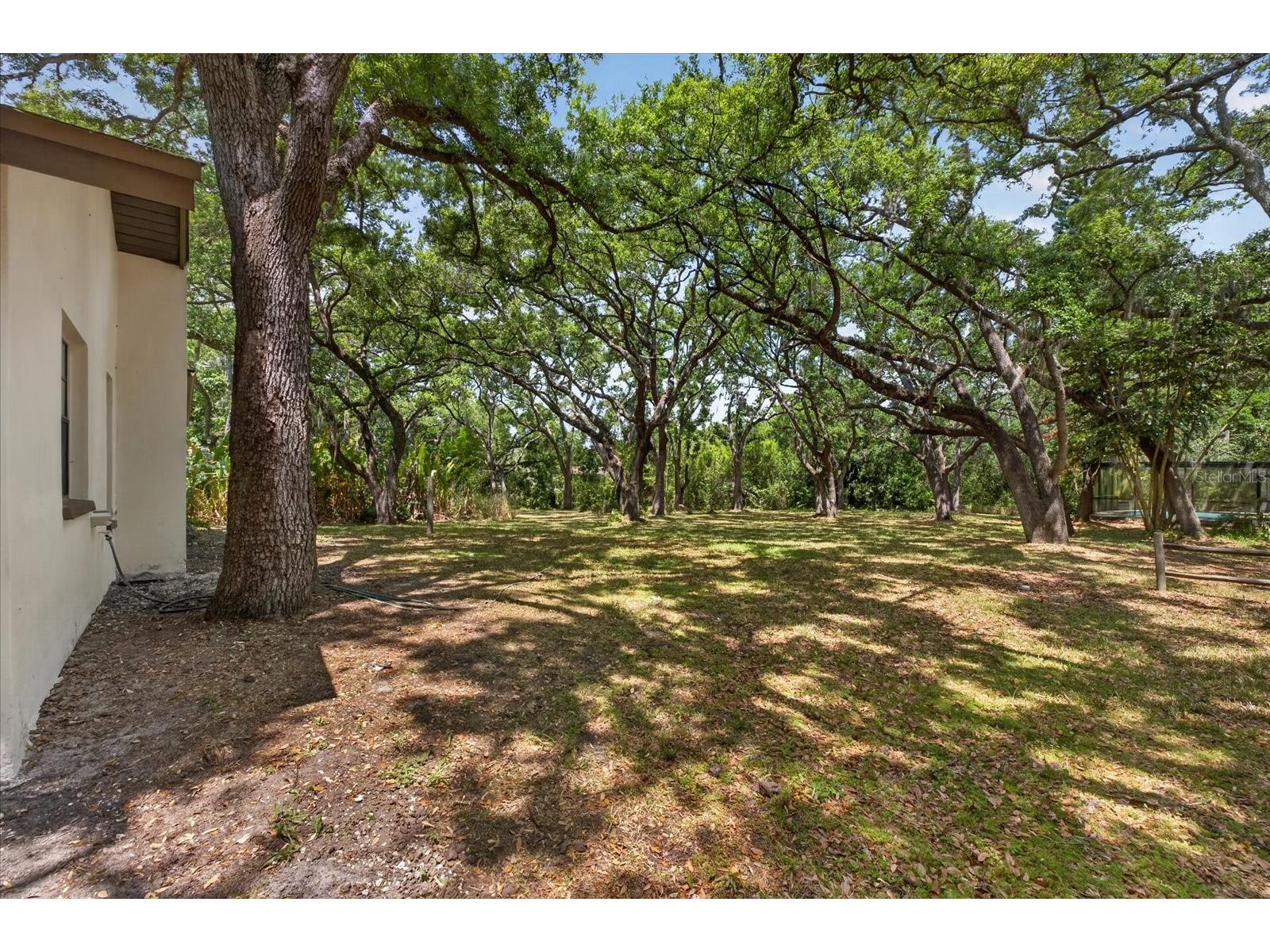 56 Bay Woods Drive Safety Harbor FL 34695 O6414635 image37