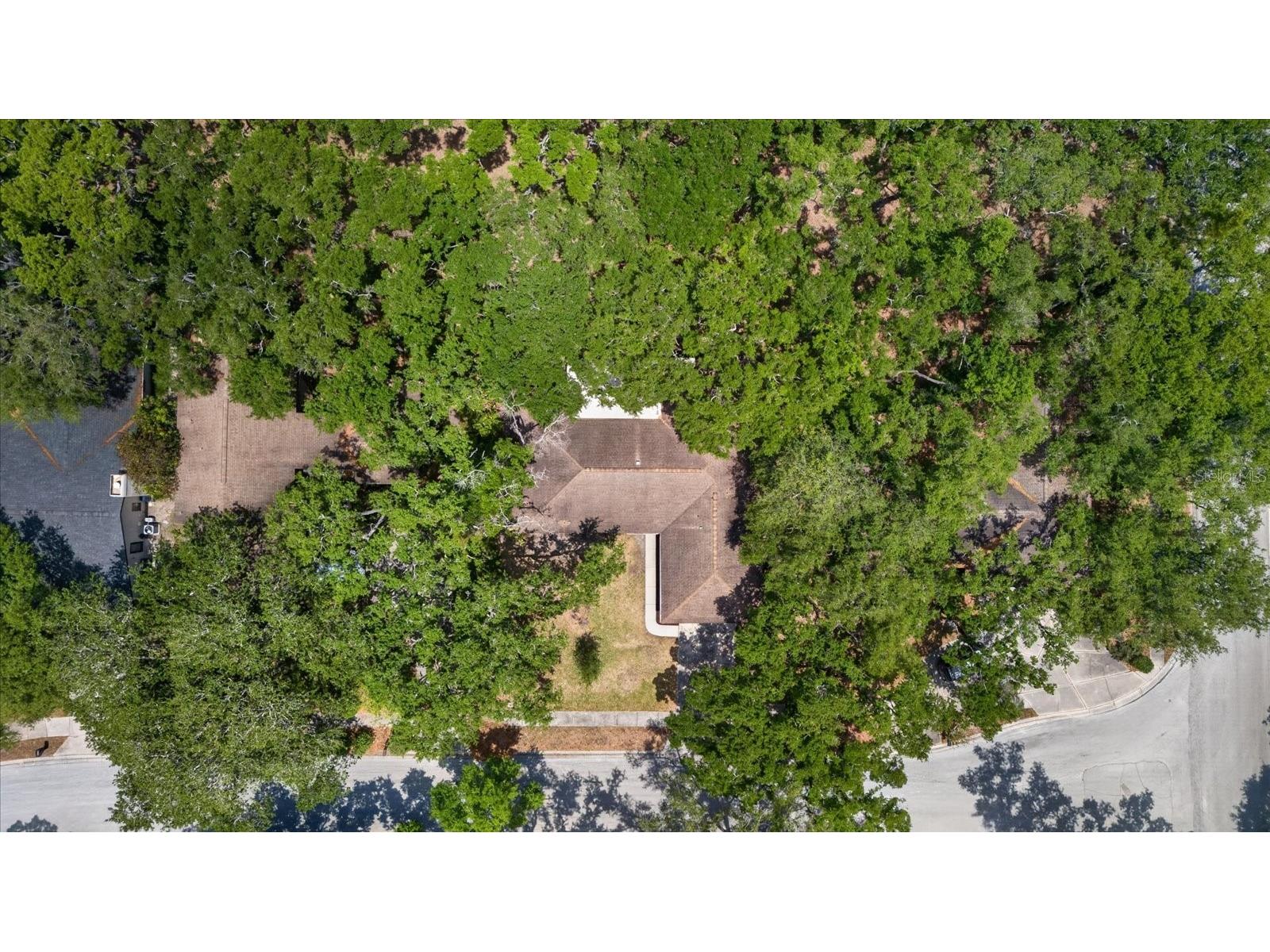 56 Bay Woods Drive Safety Harbor FL 34695 O6414635 image42