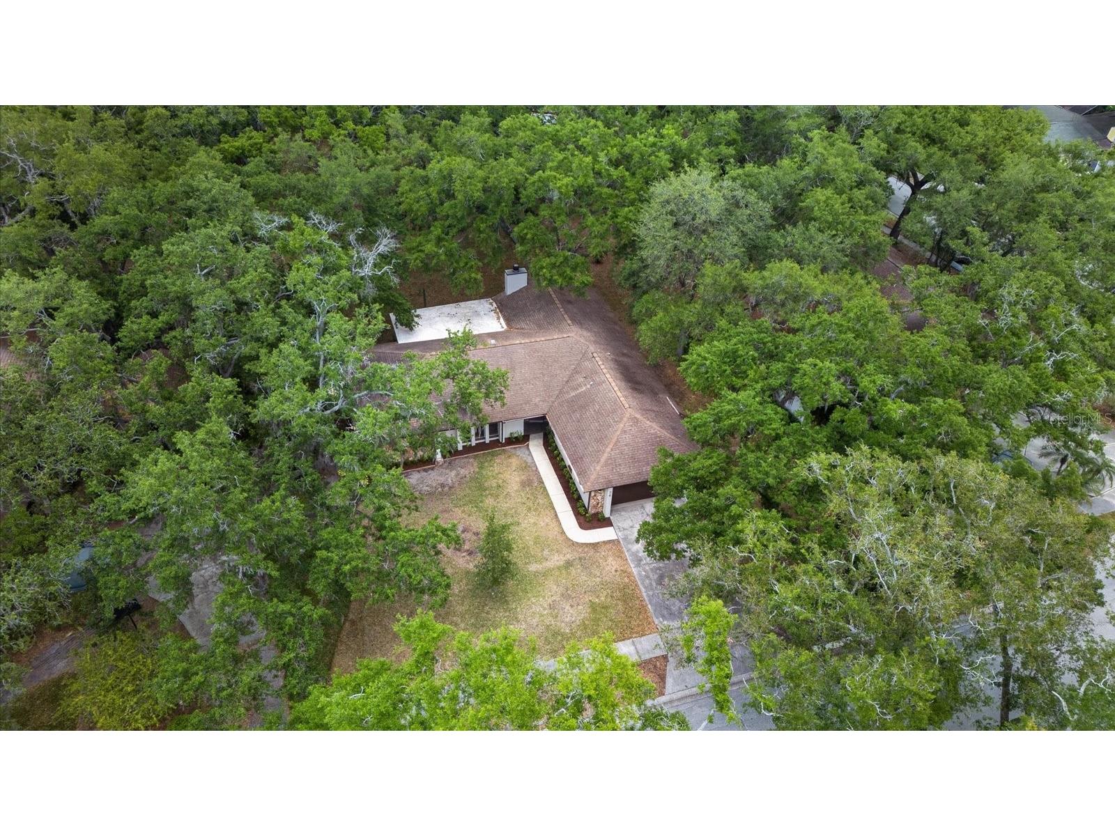 56 Bay Woods Drive Safety Harbor FL 34695 O6414635 image43