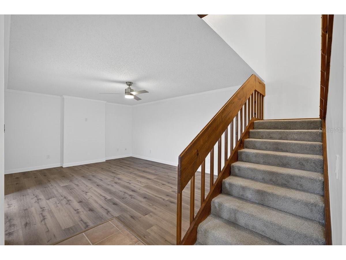 56 Cedar Dunes Drive New Smyrna Beach FL 32169 NS1087263 image13