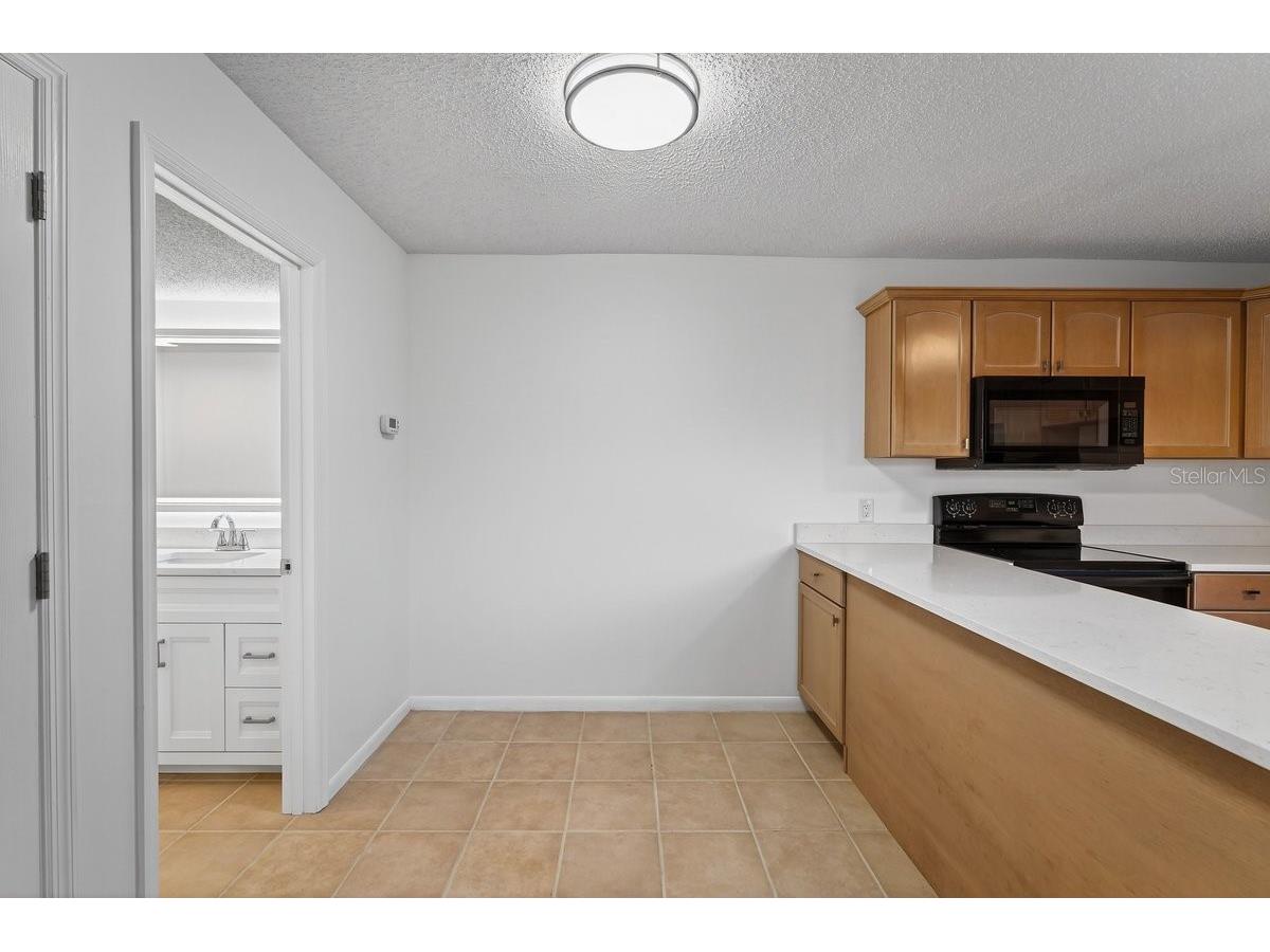 56 Cedar Dunes Drive New Smyrna Beach FL 32169 NS1087263 image17