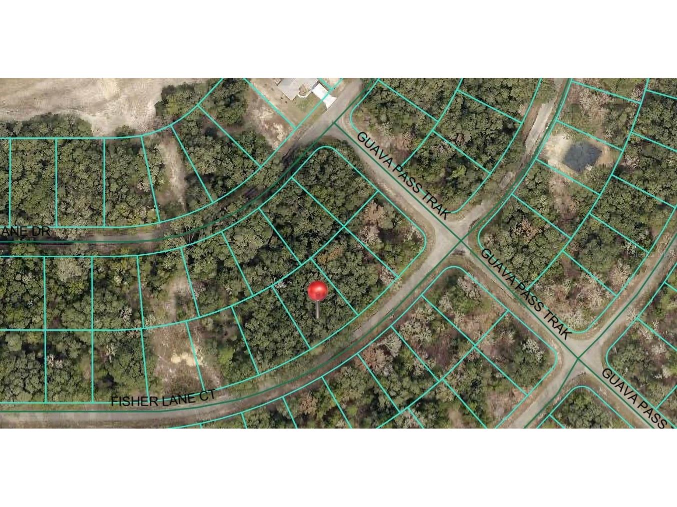 56 Fisher Lane Court Ocklawaha FL 32179 OM709016 image2