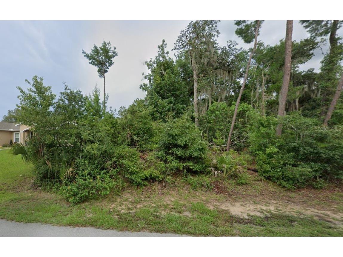 56 Fulton Place Palm Coast FL 32137 O6281120 image1