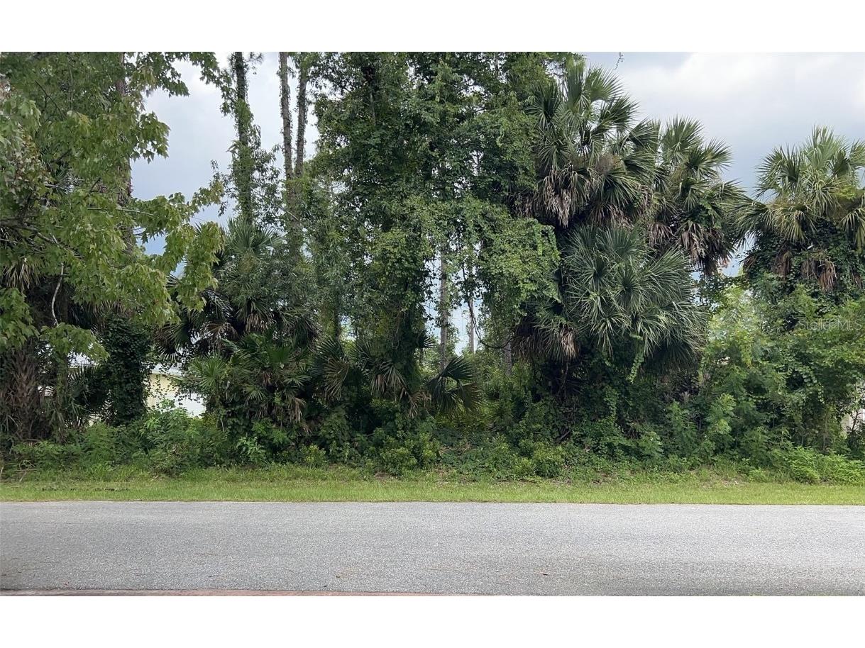 56 Parkway Drive Palm Coast FL 32164 FC293676 image1