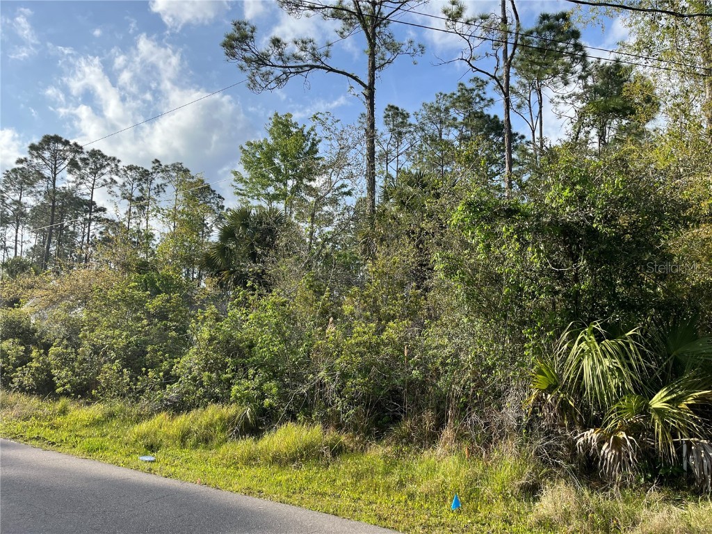 56 Renshaw Drive Palm Coast FL 32164 FC299183 image1