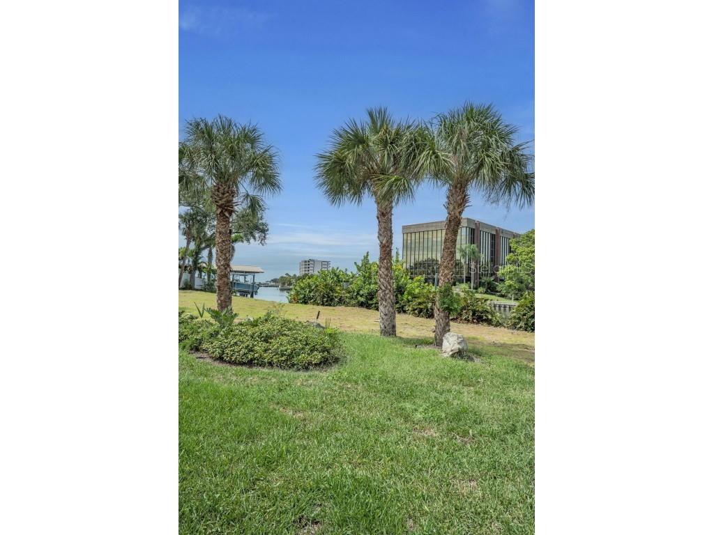 56 Sandpiper Road Tampa FL 33609 - OLD TAMPA BAY TB8425913 image12