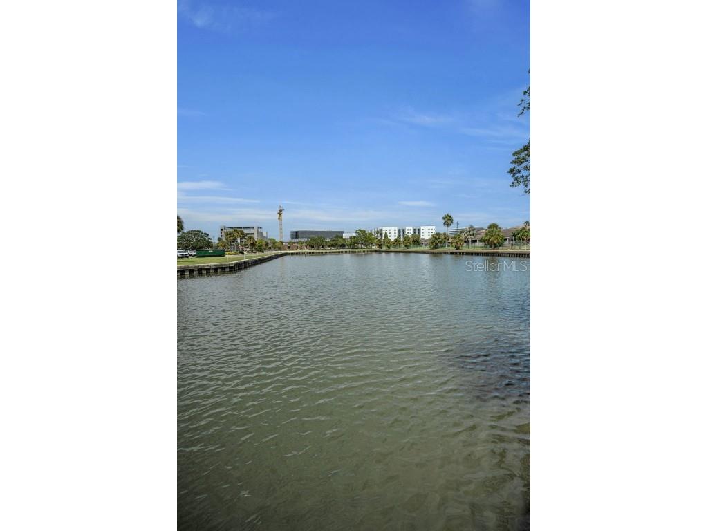 56 Sandpiper Road Tampa FL 33609 - OLD TAMPA BAY TB8425913 image16