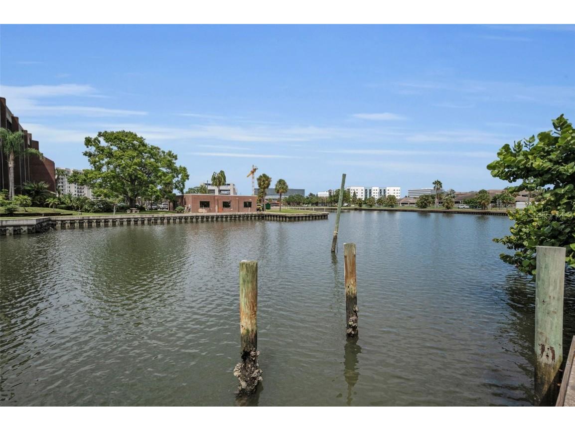 56 Sandpiper Road Tampa FL 33609 - OLD TAMPA BAY TB8425913 image17