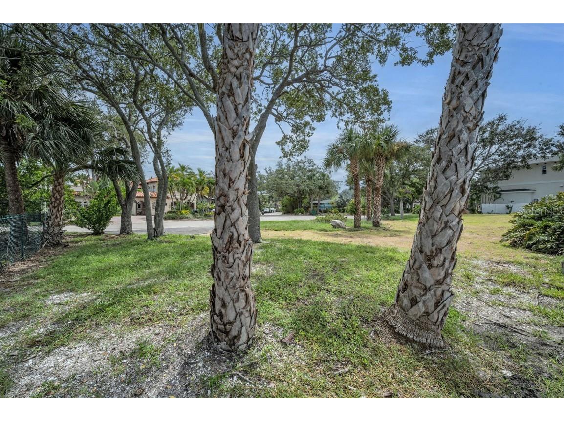 56 Sandpiper Road Tampa FL 33609 - OLD TAMPA BAY TB8425913 image18