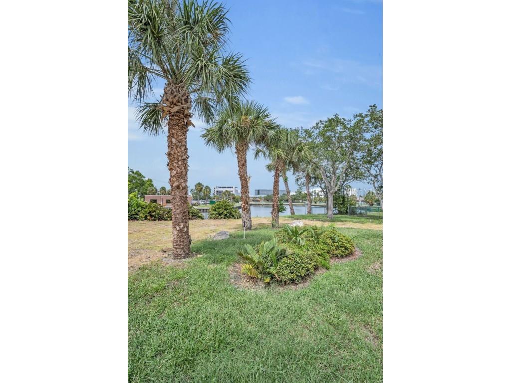 56 Sandpiper Road Tampa FL 33609 - OLD TAMPA BAY TB8425913 image24
