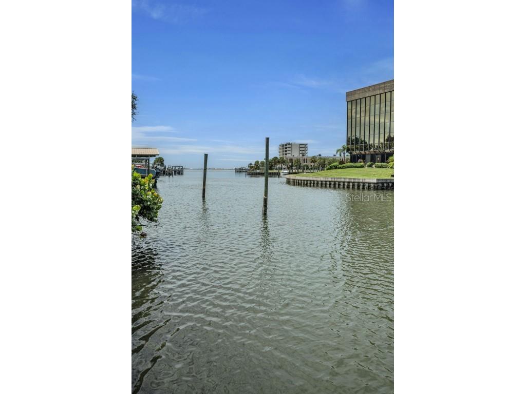 56 Sandpiper Road Tampa FL 33609 - OLD TAMPA BAY TB8425913 image27