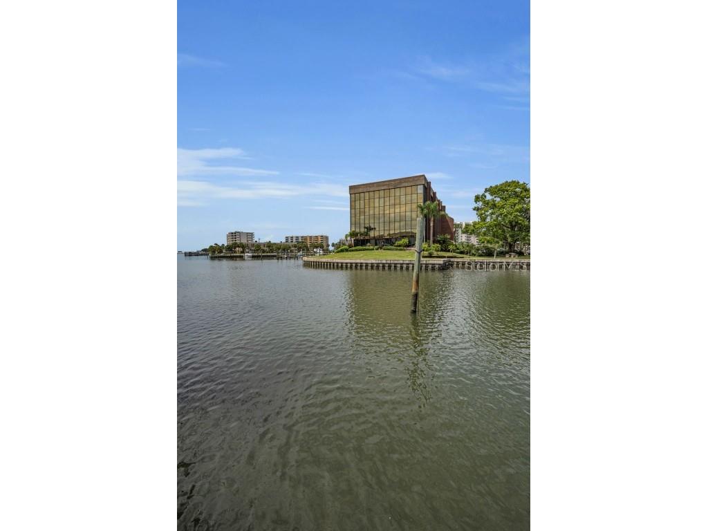 56 Sandpiper Road Tampa FL 33609 - OLD TAMPA BAY TB8425913 image28