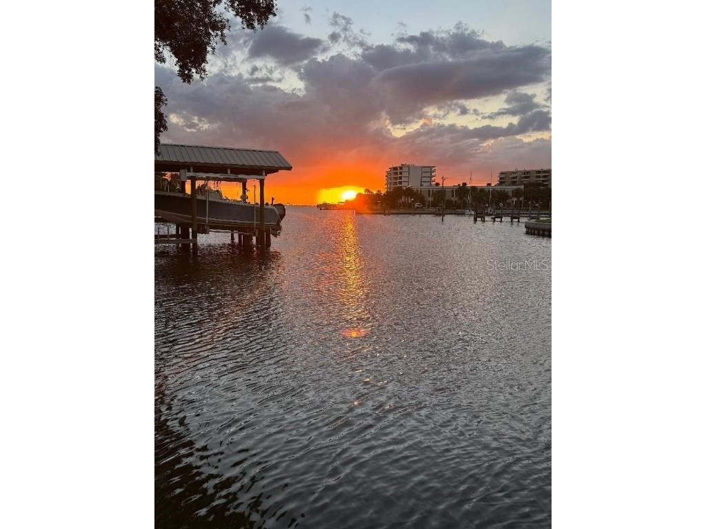 56 Sandpiper Road Tampa FL 33609 - OLD TAMPA BAY TB8425913 image29