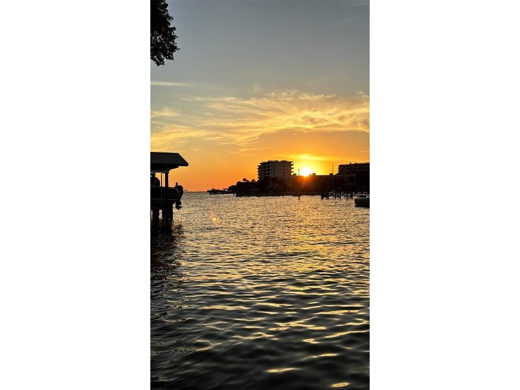 56 Sandpiper Road Tampa FL 33609 - OLD TAMPA BAY TB8425913 image30