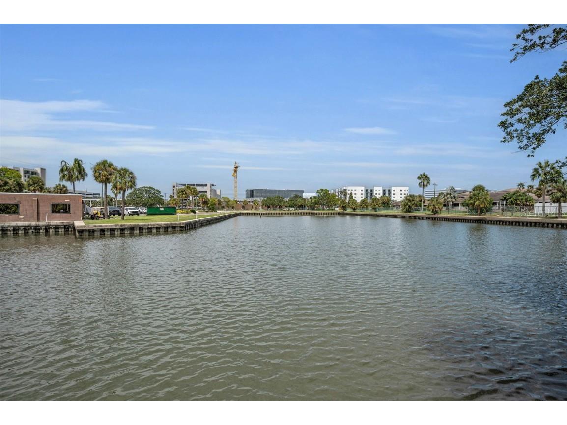 56 Sandpiper Road Tampa FL 33609 - OLD TAMPA BAY TB8425913 image5