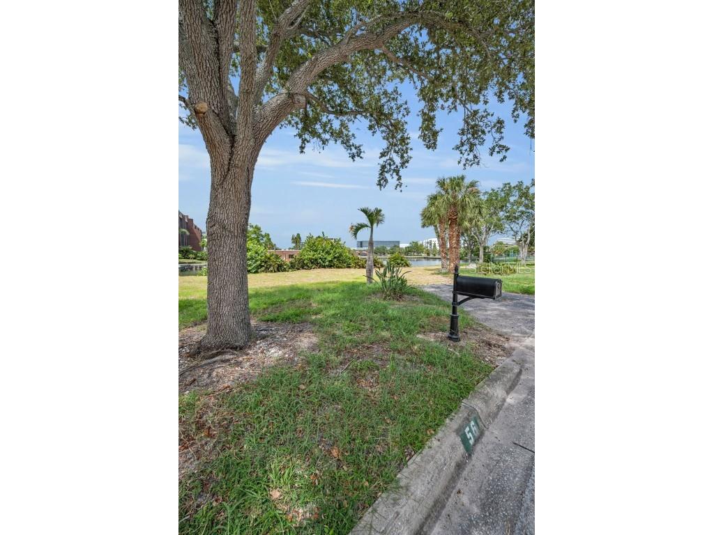 56 Sandpiper Road Tampa FL 33609 - OLD TAMPA BAY TB8425913 image7