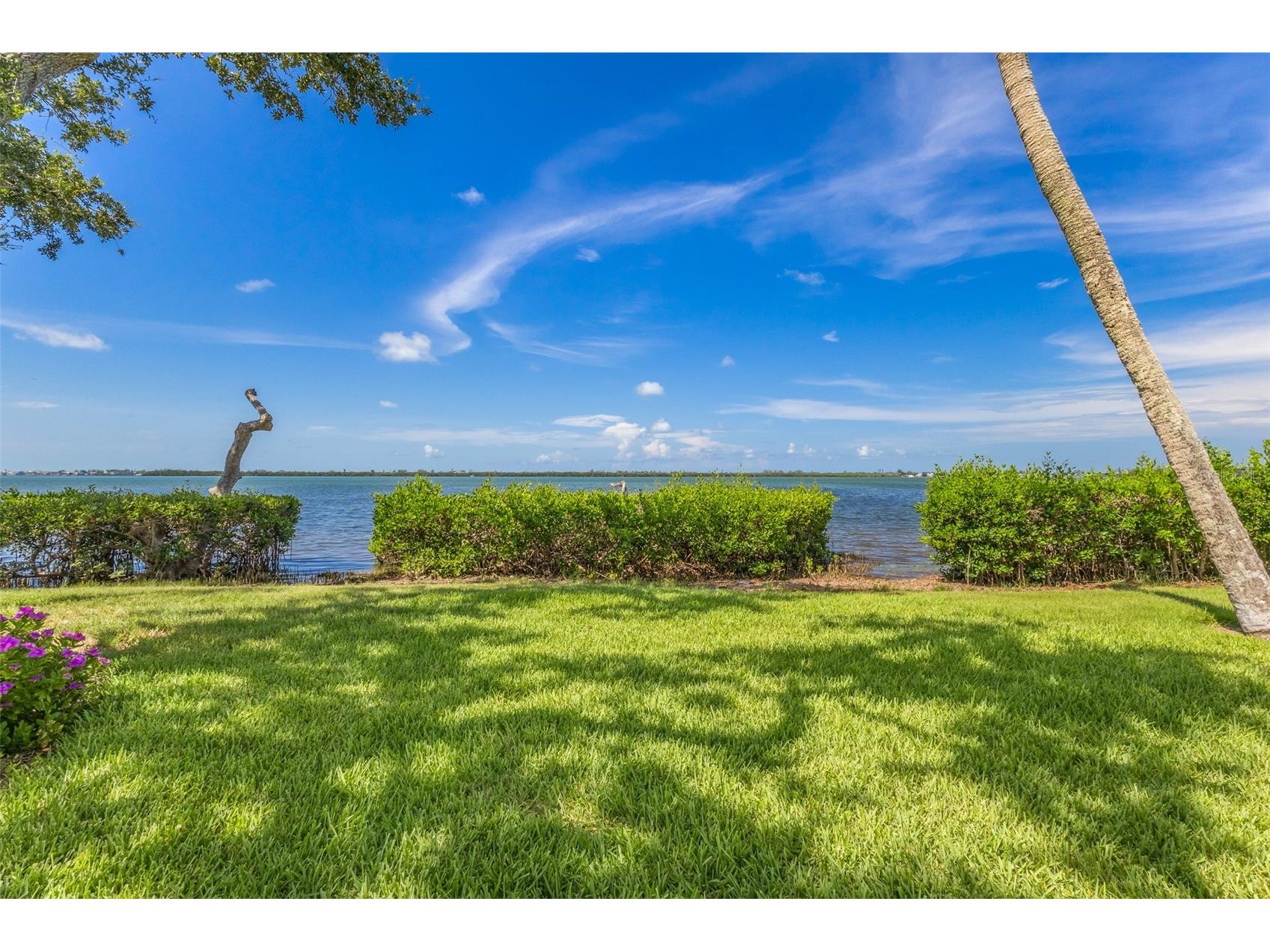 56 Tidy Island Boulevard #56 Bradenton FL 34210 - SARASOTA BAY A4698320 image18
