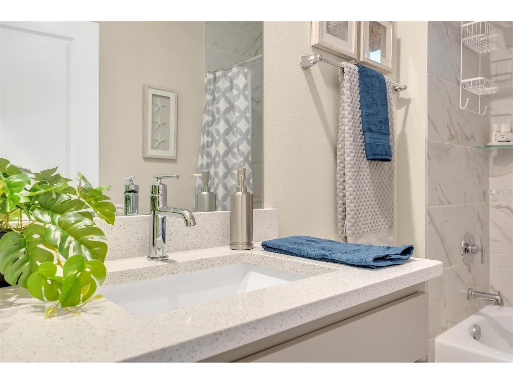 56 White Feather Lane Palm Coast FL 32164 FC317612 image46