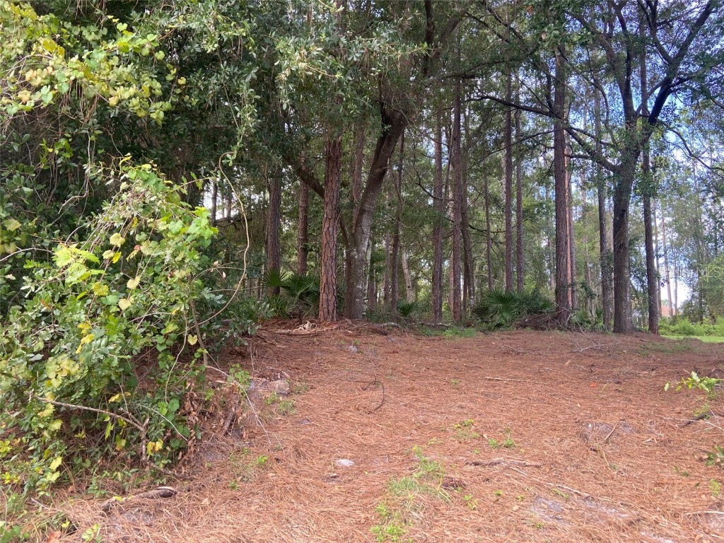 56 Wood Cedar Drive Palm Coast FL 32164 FC295270 image1