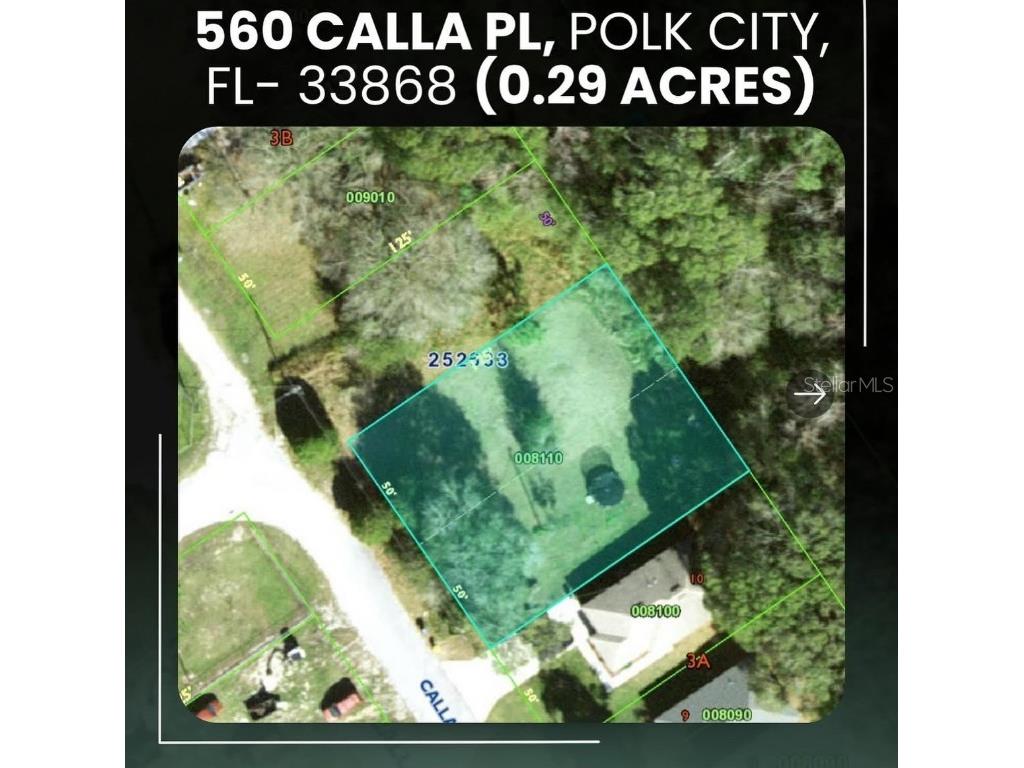 560 Calla Place Polk City FL 33868 S5122669 image1