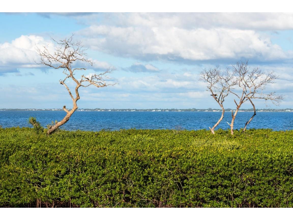 560 Harbor Point Road Longboat Key FL 34228 - SARASOTA BAY A4671218 image60