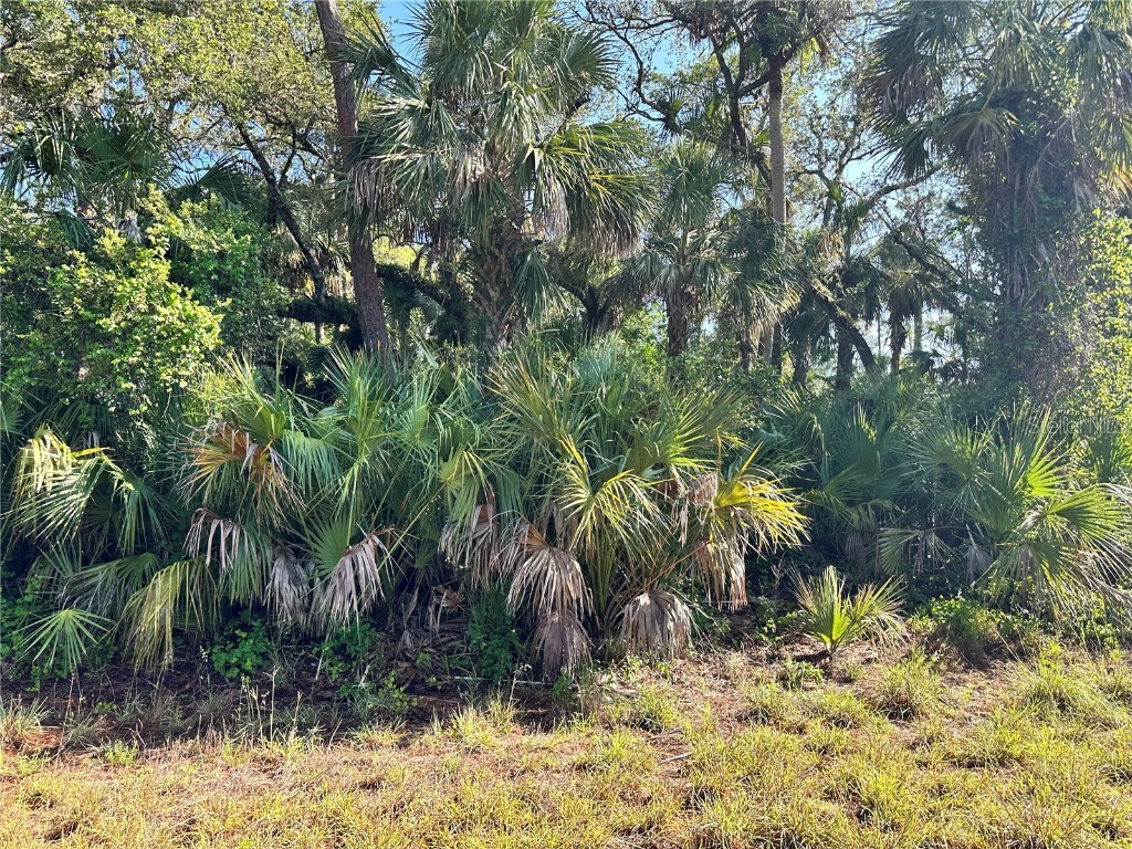 560 Marigold Circle Labelle FL 33935 C7472011 image1